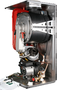 bx pt platinum 2 combi ga h90550 phe in situ 300.gif